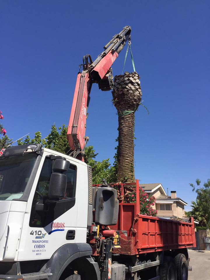 trabajo en punta la mora